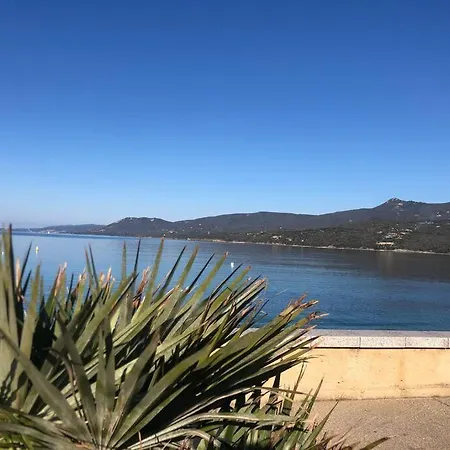 Apartment Raffine Vue - - Corse Du Sud